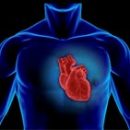 Miokarditis i koksaki virus Prof. dr sc Dragan Tavciocski