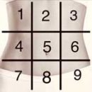 Kolegium Medic Beograd - Ultrazvuk abdomena