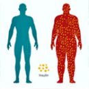 Kolegium Medic Beograd - Insulinska Rezistencija