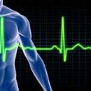 Srcani Ritam Kolegium Medic Klinika Beograd