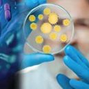 thumb-virusni-miokarditis