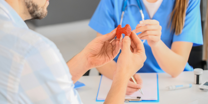 Veze Između Endokrinologije i Gojaznosti